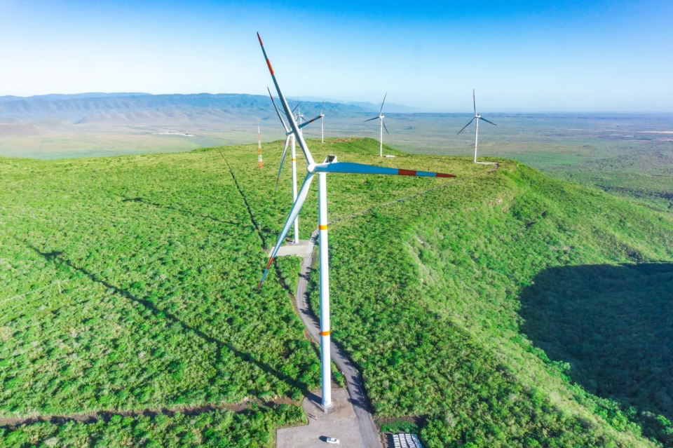 Energía eólica: escala y paisaje desde el aire.